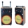 Loa gỗ 4 tấc đơn Ladomax K-TP533 - Hàng chính hãng