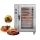 Máy sấy thực phẩm Newsun CY-8 - Hàng chính hãng