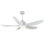 Quạt trần 5 cánh Benny BFC52LUX - Hàng chính hãng