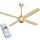 Quạt trần Panasonic F-56MZG-GO - Hàng chính hãng