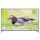 Smart Tivi Sharp LC-70XU830X - Hàng chính hãng