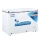 Tủ đông Alaska BCD-5068CI ( 312L ) - Hàng chính hãng