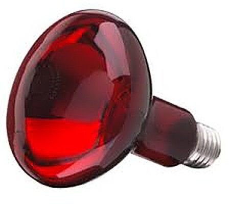 Bóng đèn hồng ngoại Philips 100W - Hàng chính hãng